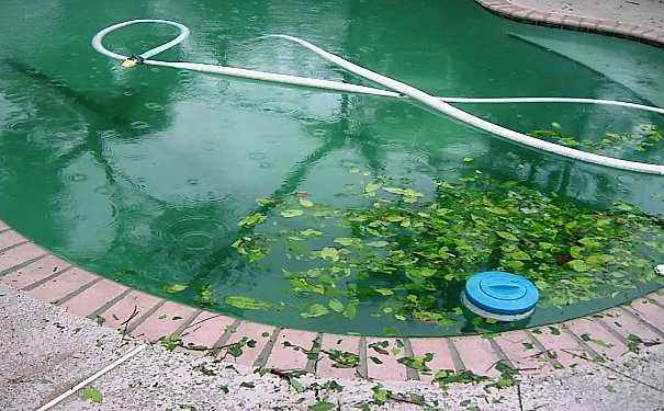 Как бороться с водорослями?