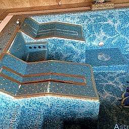 Переливной бассейн в частном доме с аттракционами 18